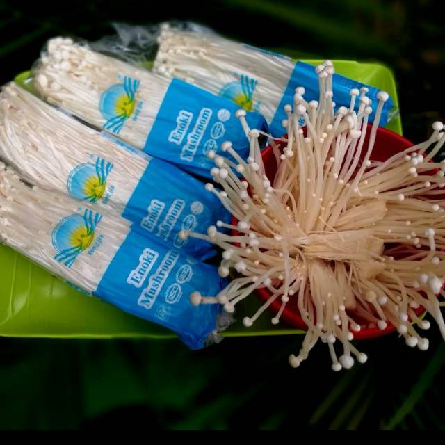 

Jamur enoki