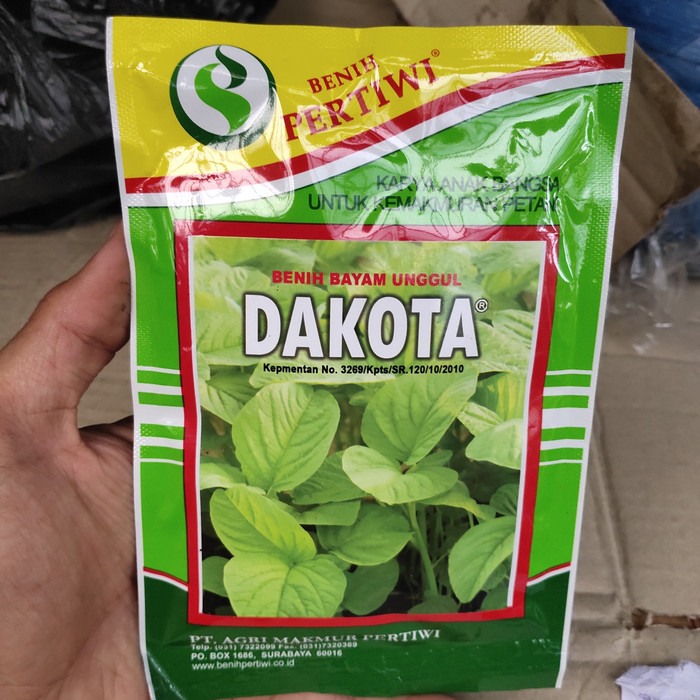 

benih bayam unggul dakota