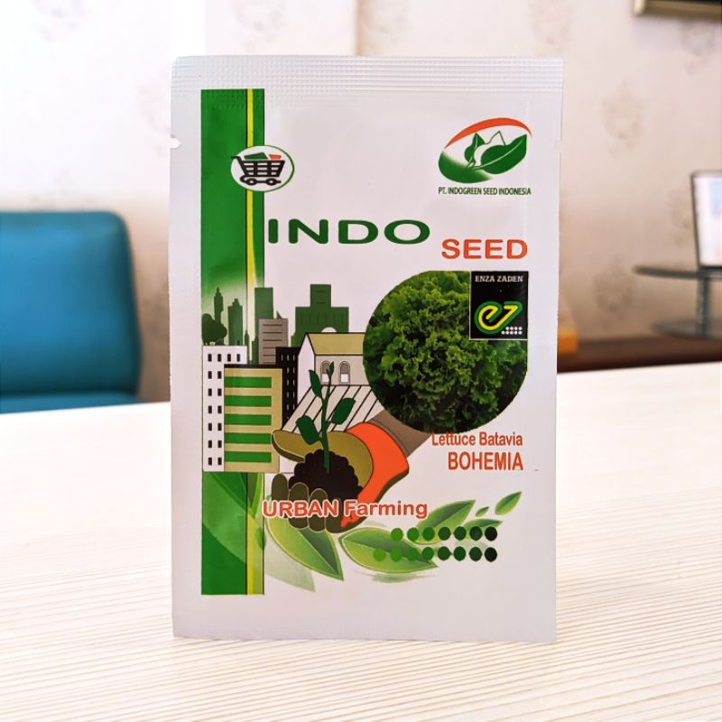 Benih Selada Bohemia Indo Seed