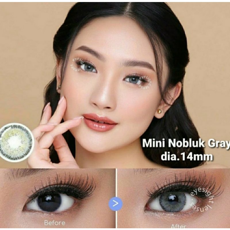 SOFTLENS DREAMCOLOR MINI NOBLUK BROWN dia.14mm Normal Minus s.d -8.00