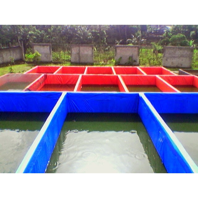 NEW Kolam Terpal Ukuran 4 x 1 x 1 Meter |Terpal Kolam Lele