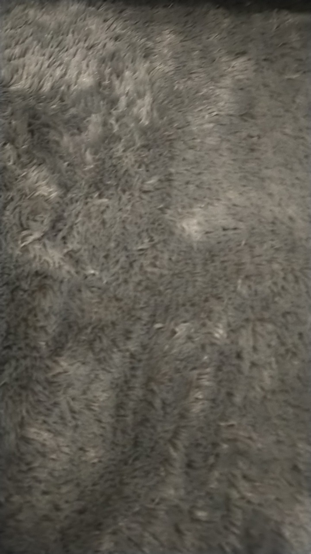 [jumbo Size] Karpet Bulu Tebal 5,5cm Ukuran 300x200cm