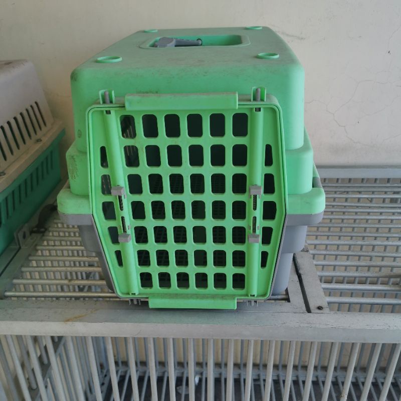 PET CARRIER KARGO CARGO KANDANG HEWAN BINATANG PELIHARAAN PET BEKAS PRELOVED MURAH PLASTIK