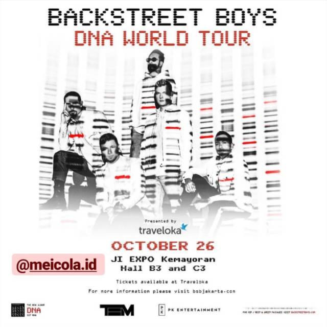 BACKSTREET BOYS DNA WORLD TOUR 2019