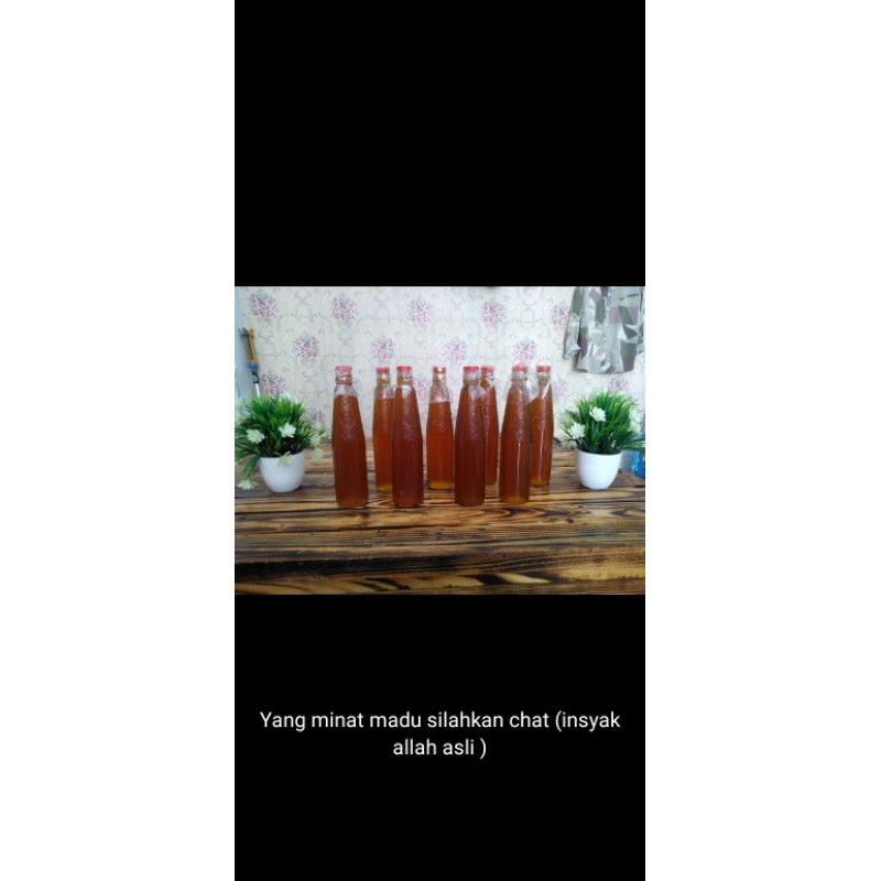 

MADU ASLI TERBARU