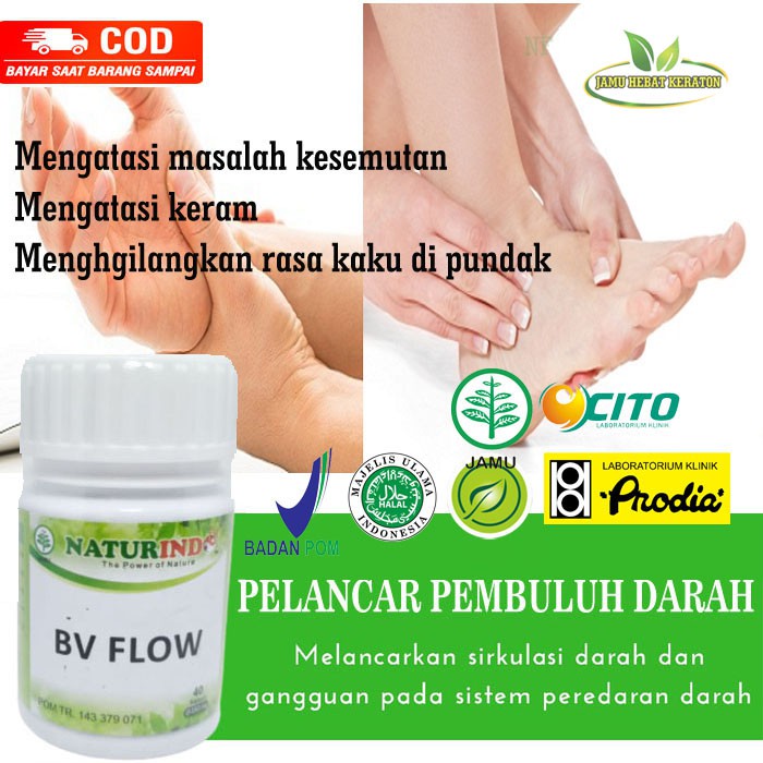HERBAL OBAT KESEMUTAN OBAT GATAL PELANCAR PEREDARAN DARAH BV FLOW NATURINDO NATURINDO