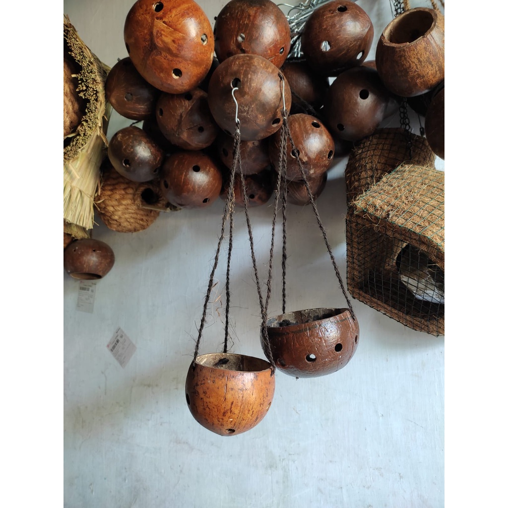 POT ANGGREK GANTUNG / POT BATOK GANTUNG / POT TANAMAN HIAS GANTUNG