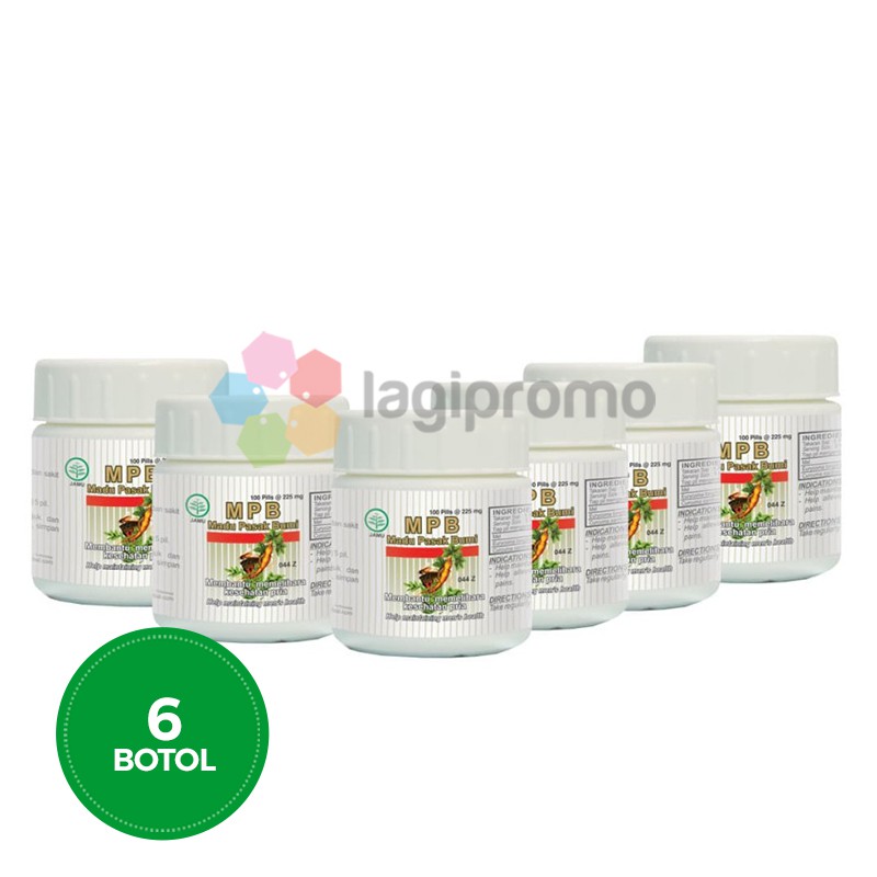 Borobudur Herbal Madu Pasak Bumi Pil Obat Stamina Sehat Pria 6 botol