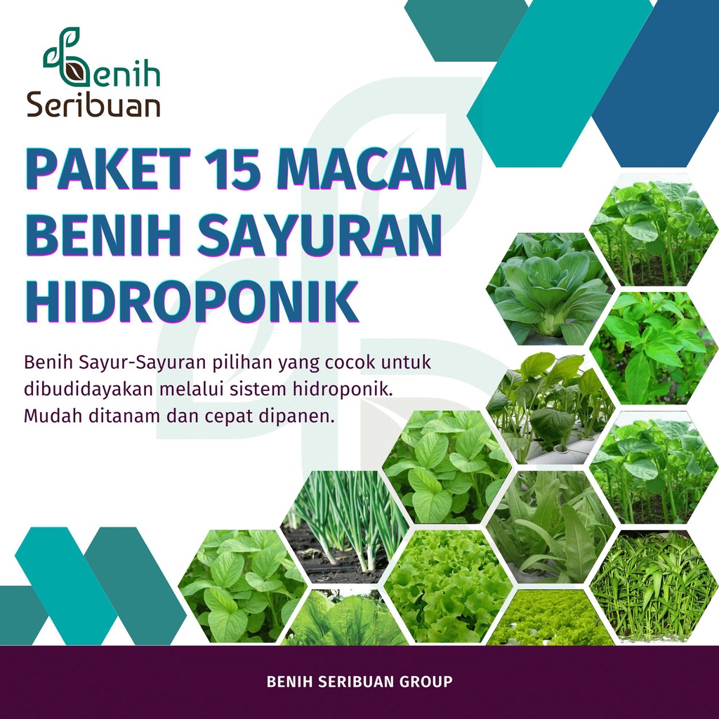 Paket Bibit Sayuran 15 Macam Benih Sayuran Lalap : Kemangi Selada Merah Timun Tomat Tanaman Sayur Seribuan Kangkung Bayam Sawi Selada Unggul Seribuan