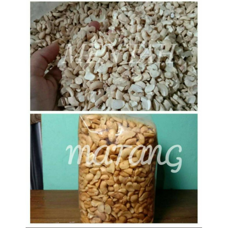 

Kacang Mente Menir Matang