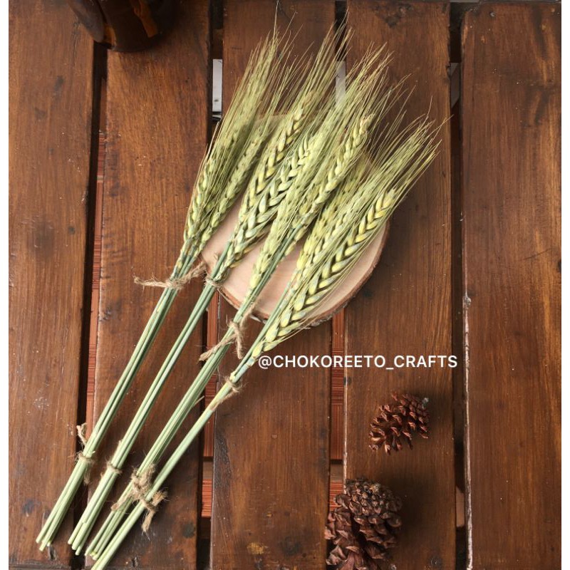 GANDUM KERING NATURAL