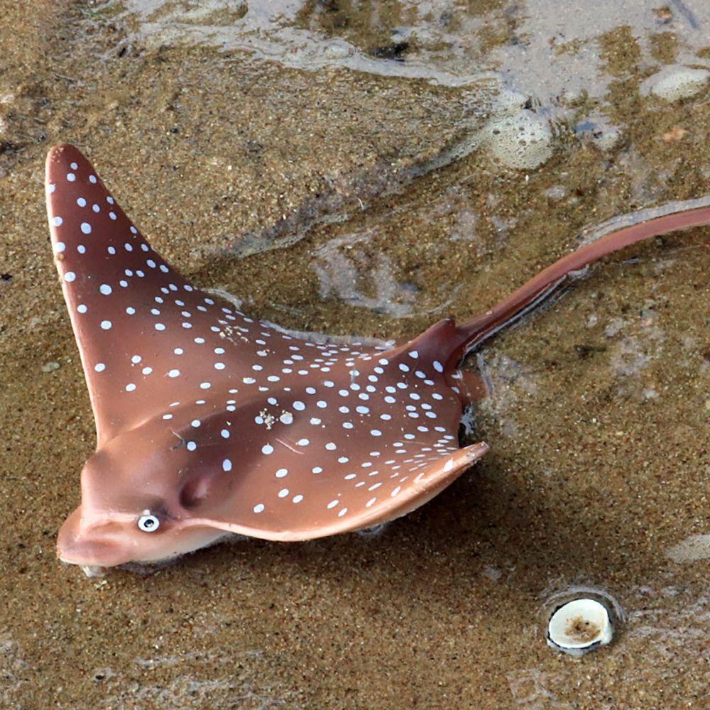 R-flower Mainan Edukasi Dini Anak Model Organisme Hewan Laut Manta Ray