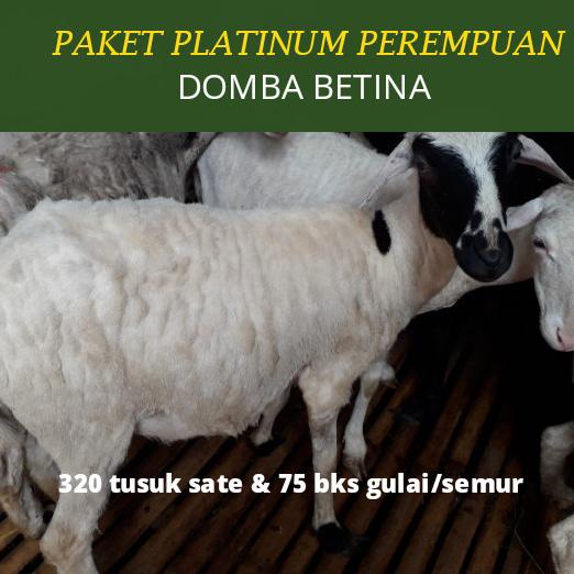 

paket catering aqiqah perempuan kambing/domba