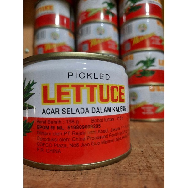 

lobak kaleng lettuce
