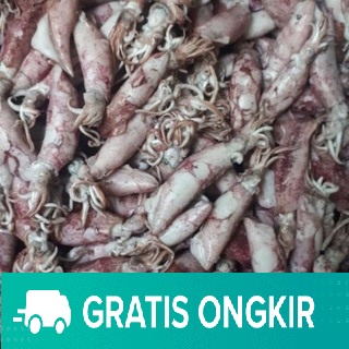 

[DAPUR EXPRESS] Cumi Asin 100 gram
