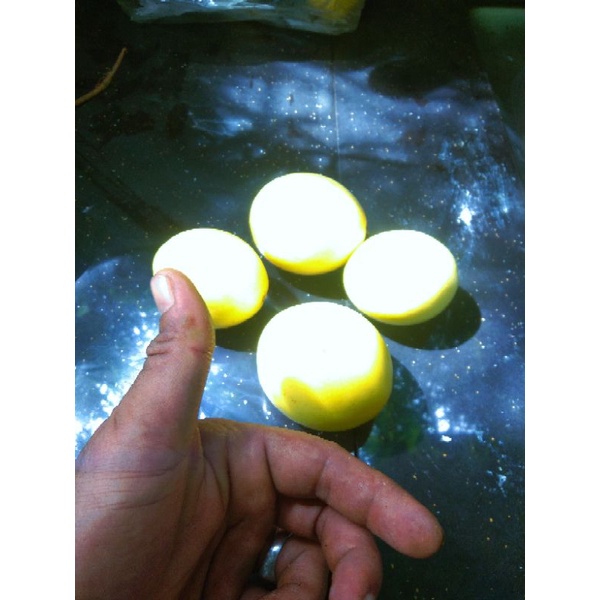 

Jual Buah Markisa Kuning Super Joss 1 Kg 20.000
