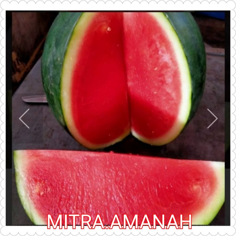 

BUAH SEMANGKA FRESH +-3.4 S/d 4Kg