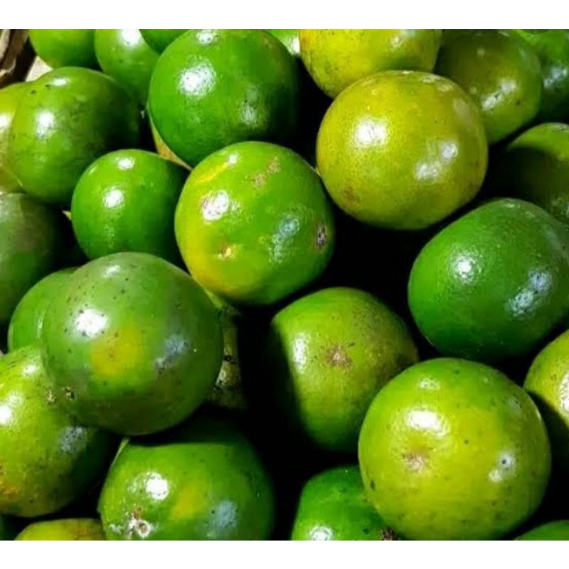 

jeruk peres segar 1kg