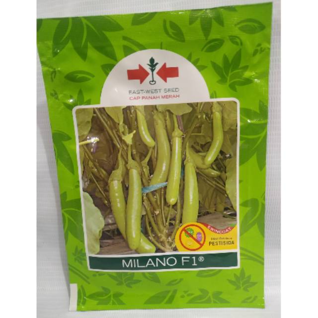 Terong MILANO F1 10g