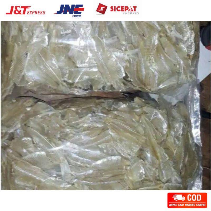 

Ikan asin kerupuk pakang murah 100 gram