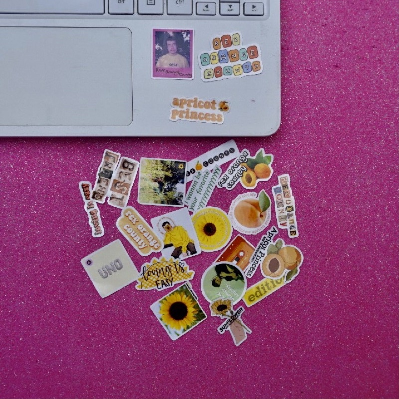 

(22pcs) Sticker Tumblr “ REX ORANGE COUNTY “