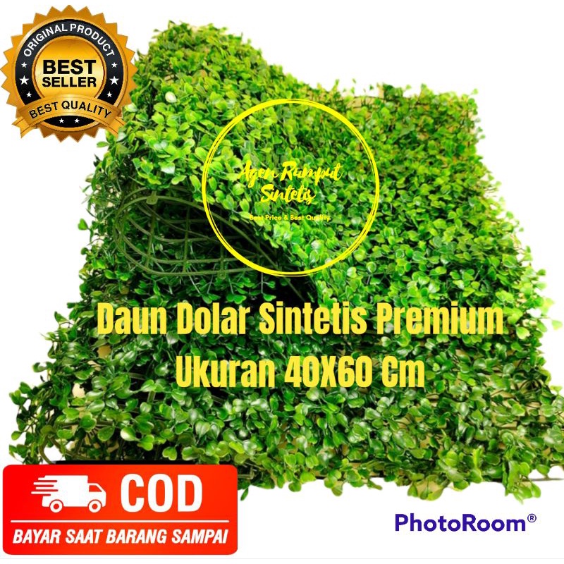 DAUN DOLAR SINTETIS 40X60 CM - DAUN DINDING SINTETIS DOLLAR - DAUN PLASTIK - DEKORASI - DAUN RAMBAT 