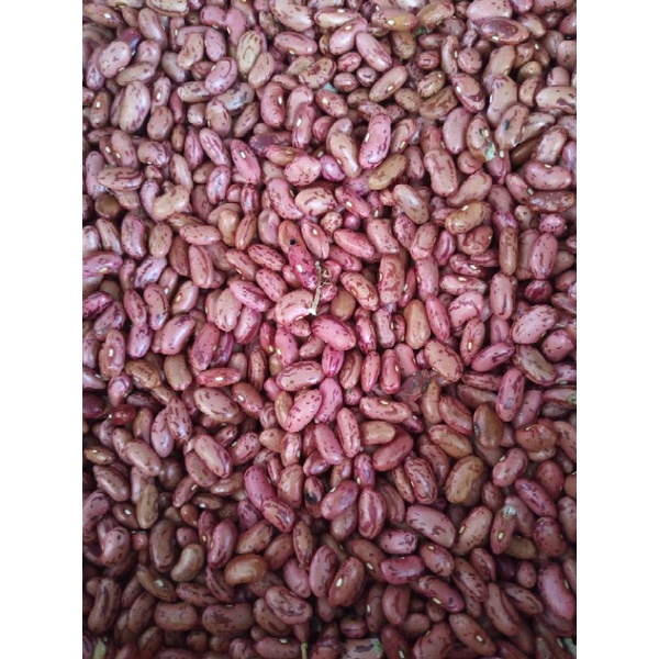 

Kacang merah 250gr