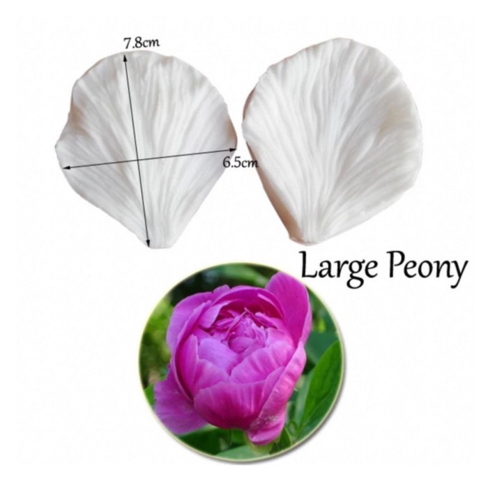 

KUE-PENGHIAS-ALAT- PEONY PETAL VEINER MOULD MOLD FONDANT WAFER PAPER CAKE KUE -ALAT-PENGHIAS-KUE.
