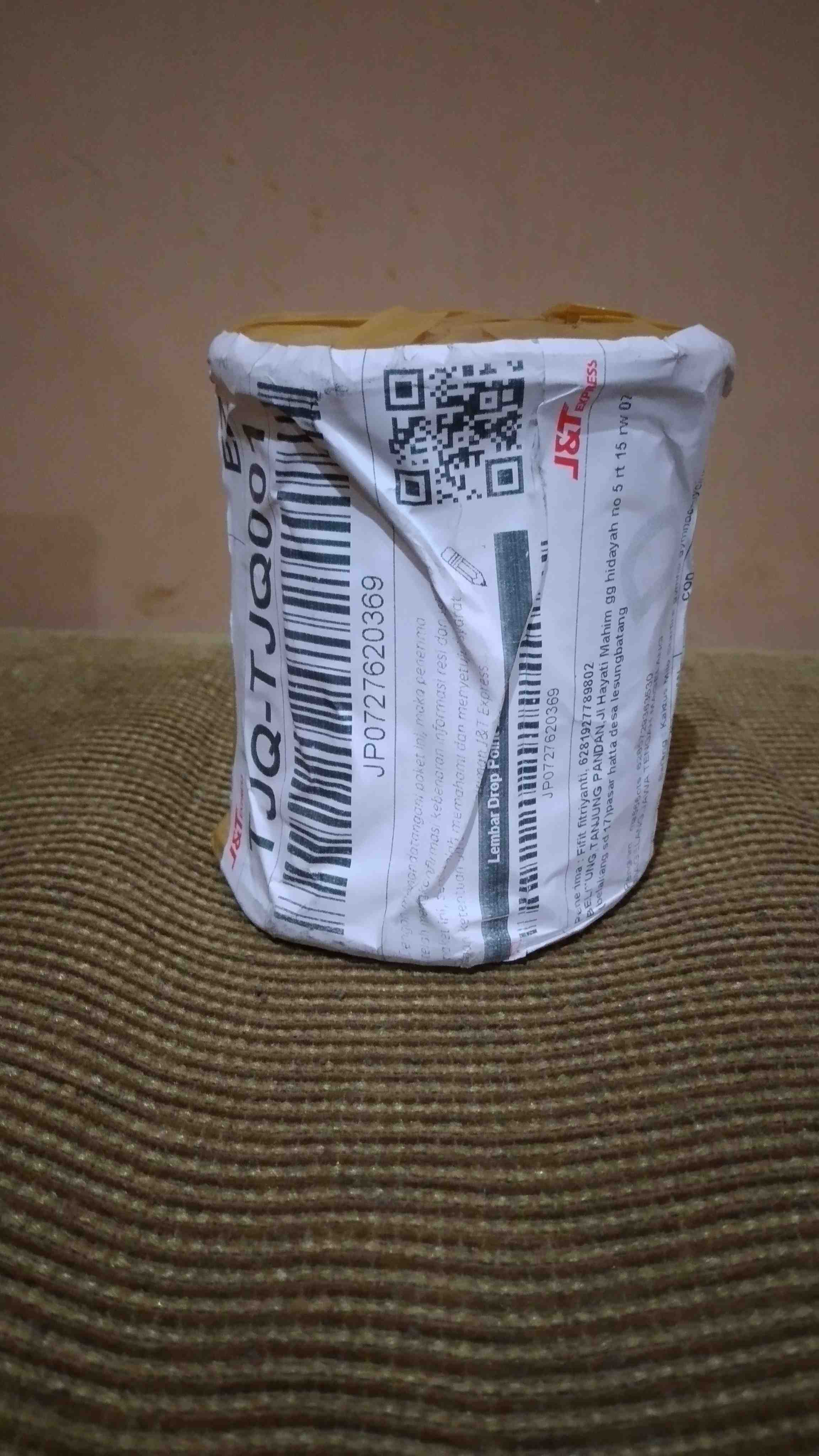 Kaktus Milo Starfire Gymno Gymnocalycium Mihanovichii Miha Var Variegata Indukan