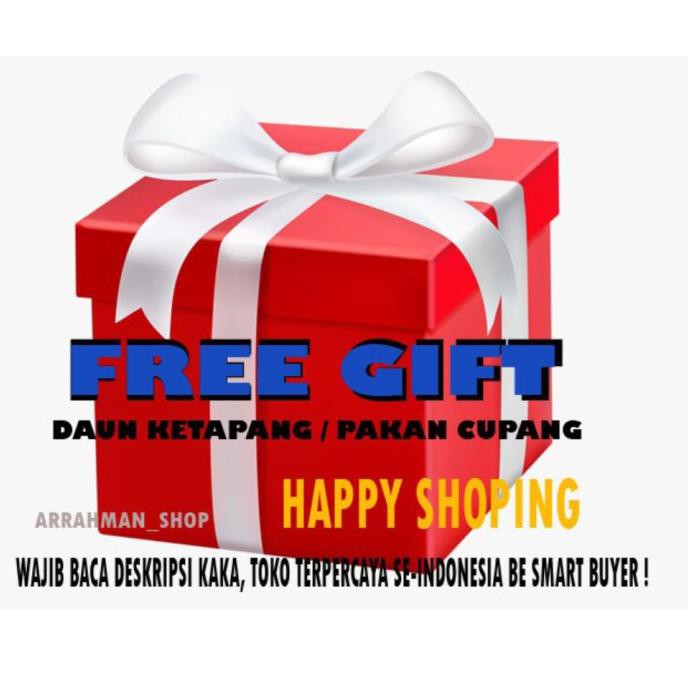 Ready Ikan Cupang Halfmoon Cupang Female Cupang Betina Random