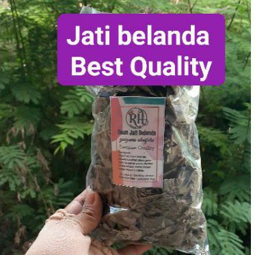 

teh daun jati belanda 50gr & 100gr