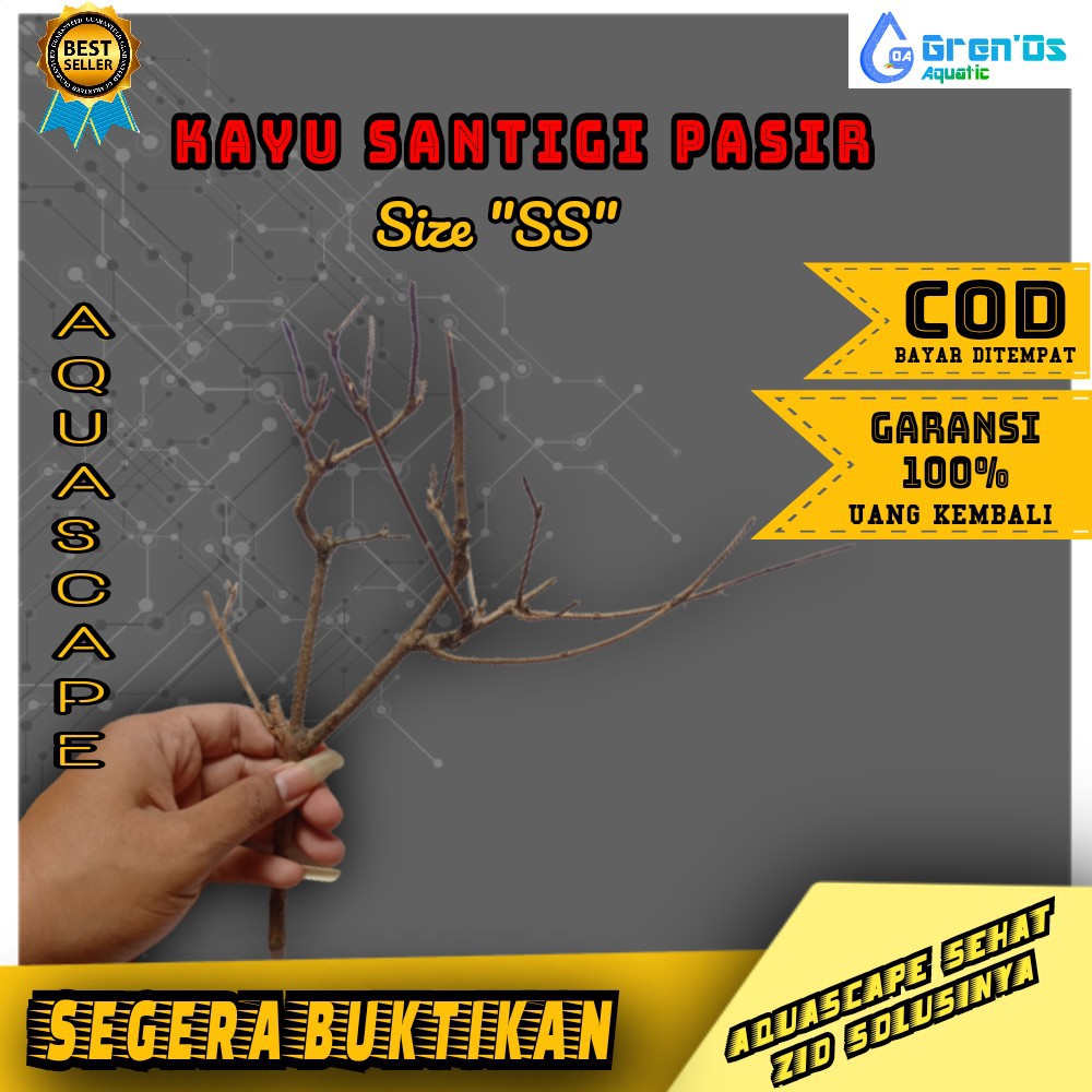 Kayu Santigi Pasir Size SS Aquarium Aquascape untuk Bonsai