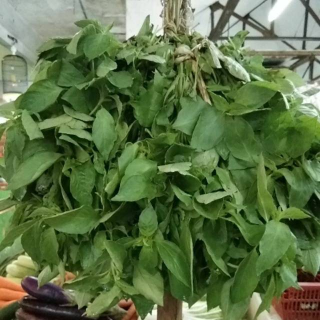 

Daun Kemangi