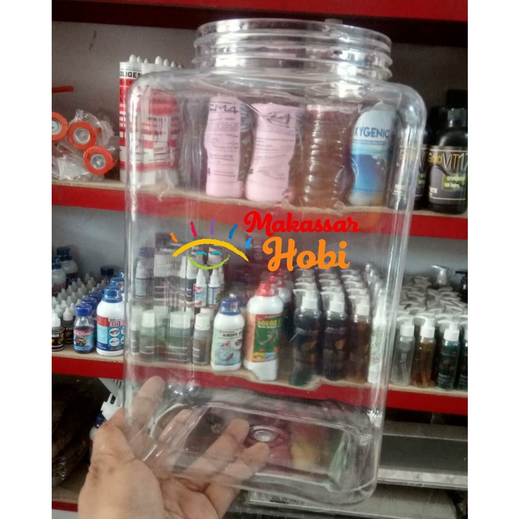 Toples Cupang 4 Liter Aquarium Mini Soliter Ikan Hias Plastik Kotak 4L