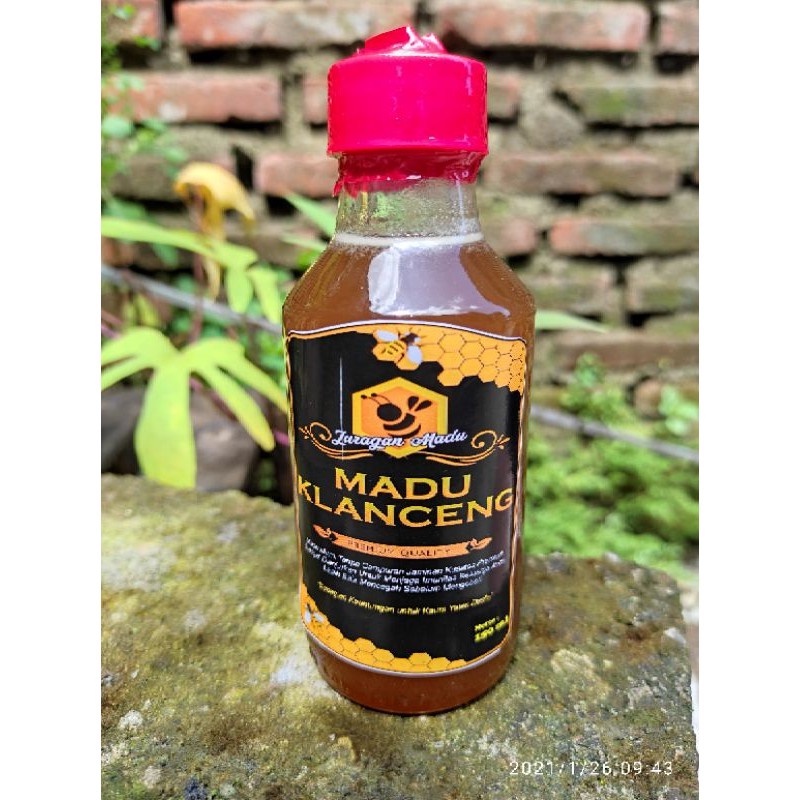 

Madu Murni Asli Klanceng Trigona Kelulut Original Raw Honey 200 gram