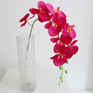 Bom Phalaenopsis 9 Artificial Flower Plant Creative Orkid Simulation Artificial Flower Bunga Buatan Shopee Indonesia