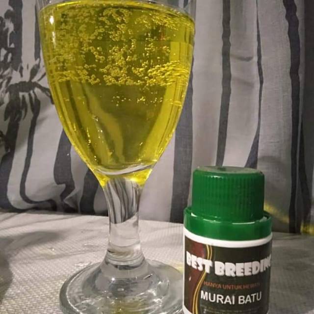 Best Breeding Murai Batu 40ml dan 80 ml murai batu