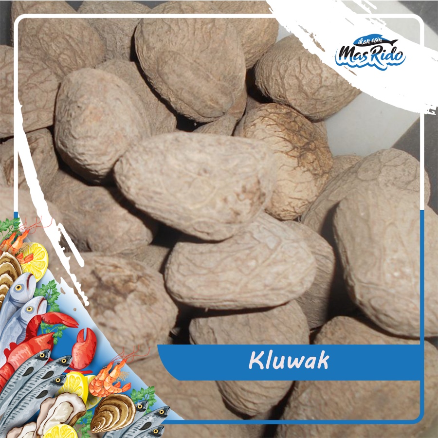 

Kluwak Kluwek Keluwuk Pucung Rawon Bumbu Dapur Herbal Harga Murah