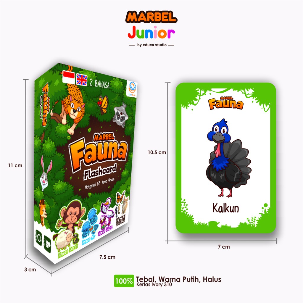 Marbel Flashcard Fauna Belajar Nama Hewan Bahasa Inggris