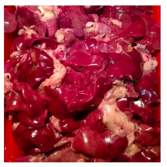 

ATI AMPELA AYAM FRESH HARGA SEPASANG