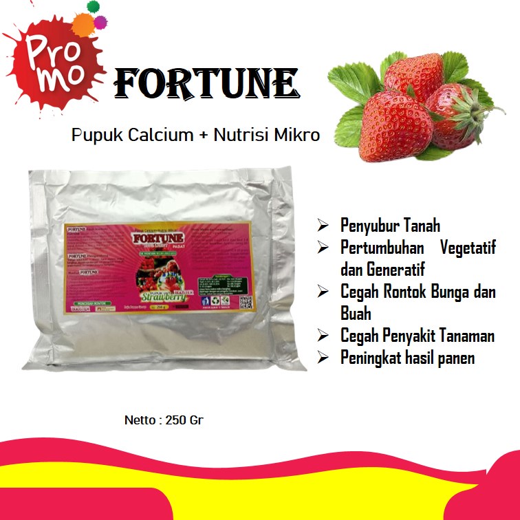 Pupuk Perawatan Tanaman Buah Strawberry Cepat Berbuah, Pupuk Booster Strawberry Dalam Pot