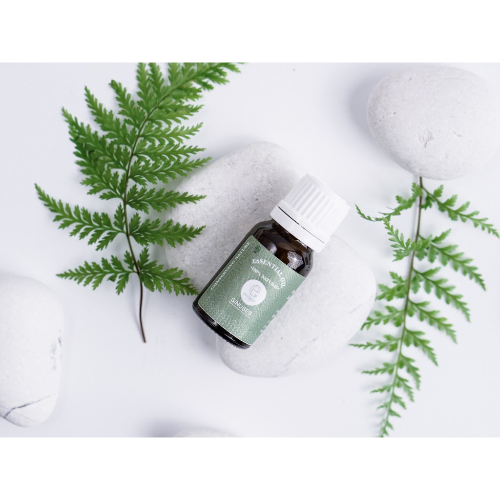 Essential Oil Sinus Relief | Aromaterapi Redakan Hidung Tersumbat &amp; Sinus | Minyak Aromaterapi