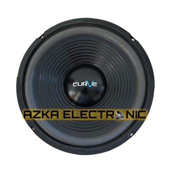 Speaker Curve 10 Inch Woofer 300W