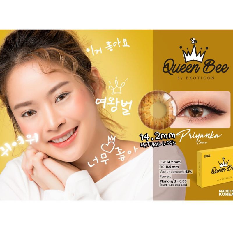 SOFTLENS QUEEN BEE / NORMAL &amp; MINUS (-0.50 s/d -2.50) / 14.2MM / X2 EXOTICON