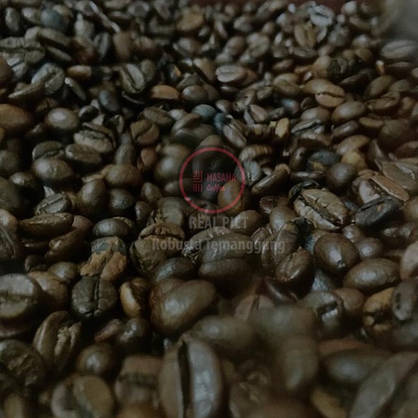 

MASAMA Coffee Robusta TEMANGGUNG (Bean)