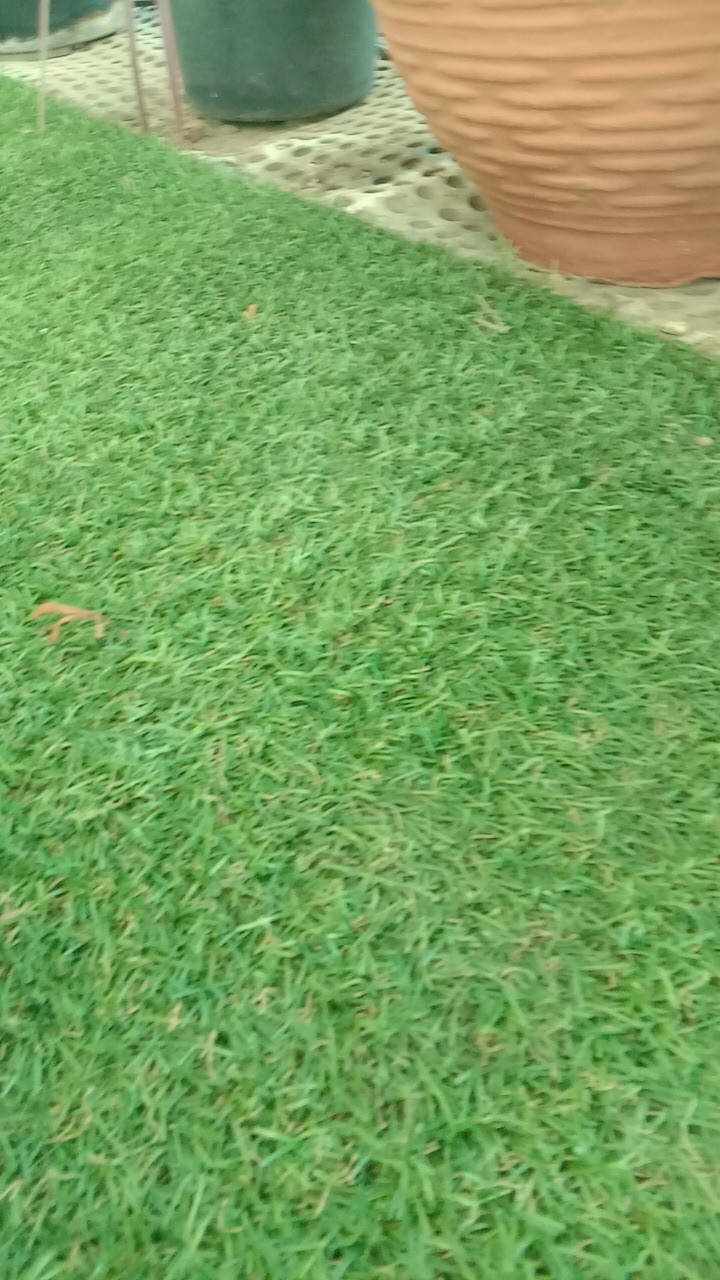 Batik Couple / Baju Batik Couple / Batik Set / Batik Lengan Panjang / Rok Set