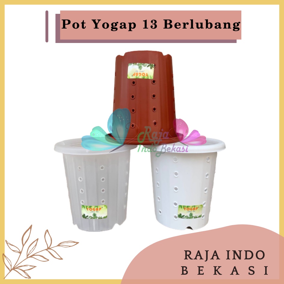 Rajaindobekasi Pot Yogap 13 Putih Bening Transparan Merah Bata Merah Coklat Terracota Terracotta Berlubang