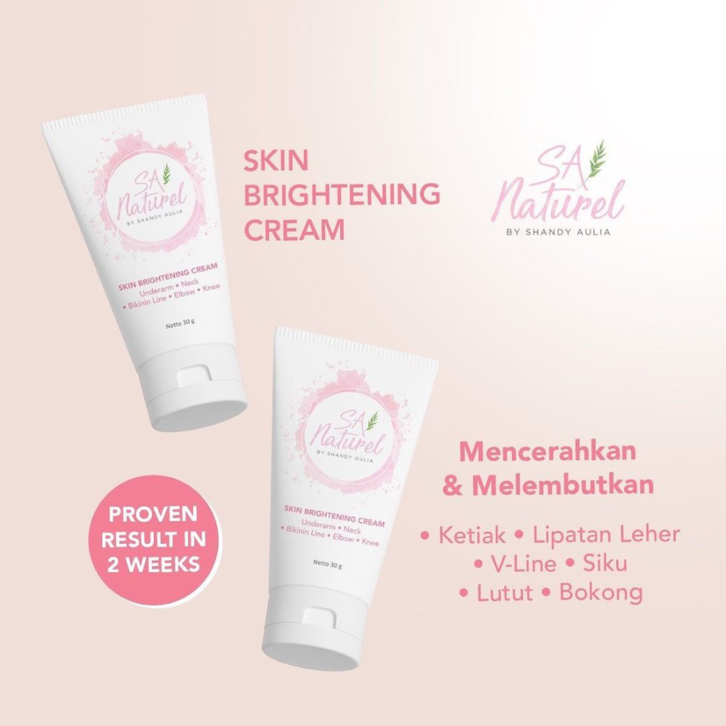 SA NATUREL SKIN BRIGHTENING CREAM BY SHANDY AULIA