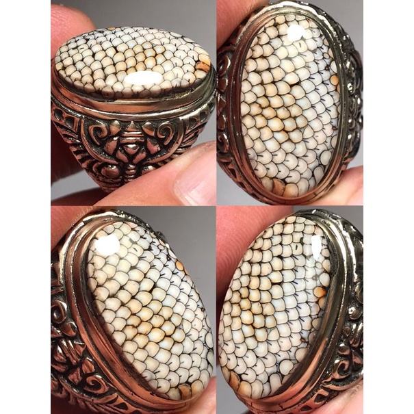 JHIPEN SISIK ULAR MADURA TOP COLECTOR ITEM