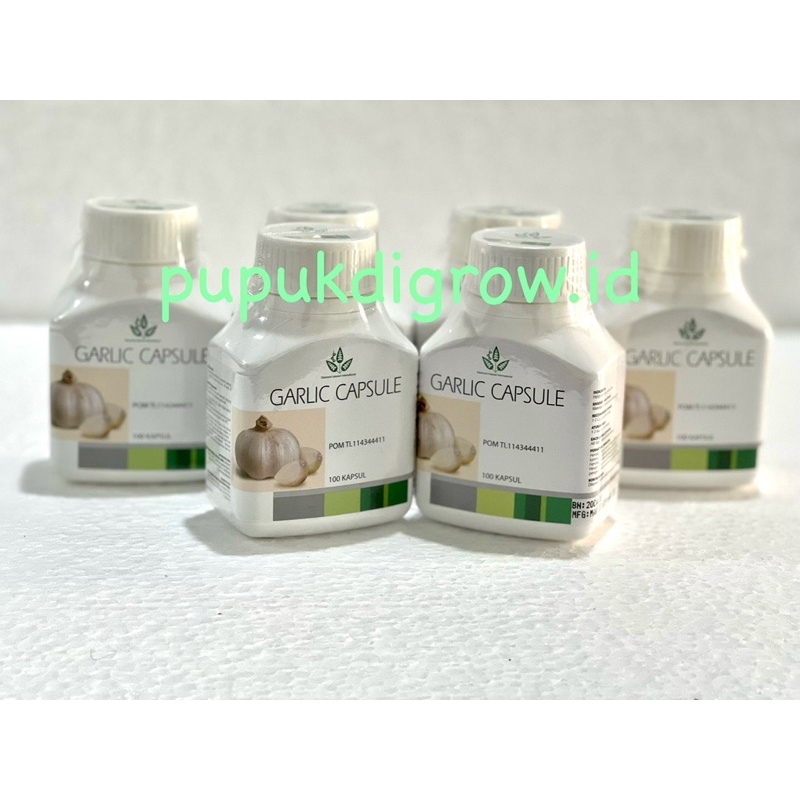 GARLIC PLUS OBAT KOLESTEROL HERBAL 100 tablet DIAMOND INTEREST